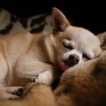 pexels-ellie-burgin-1661546-28890607